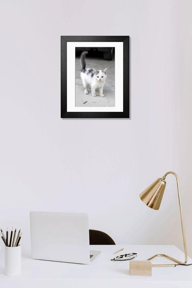product preview 0