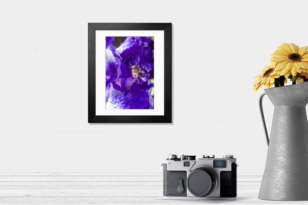 product preview 0