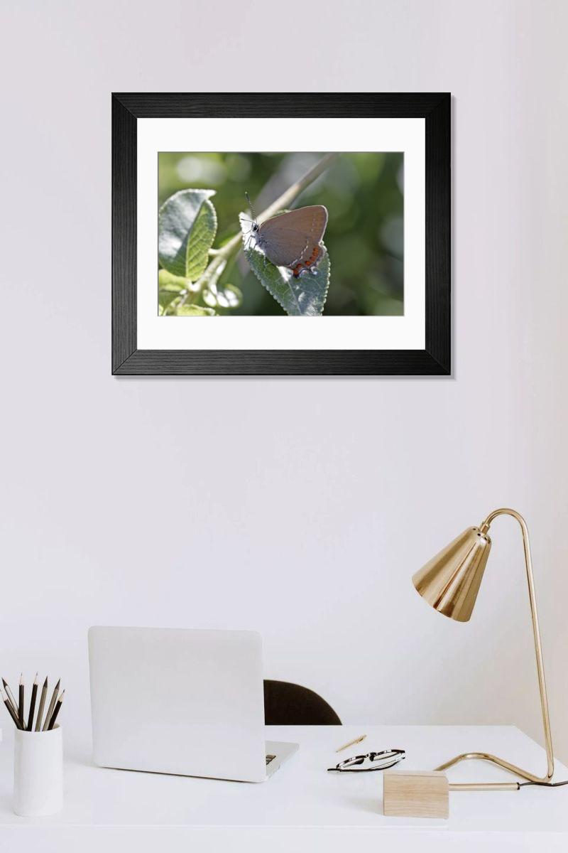 Shown hanging in a room: Modern 14"x12" (36x31cm)