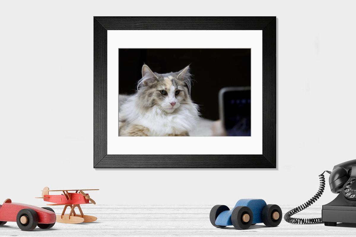 product preview 0