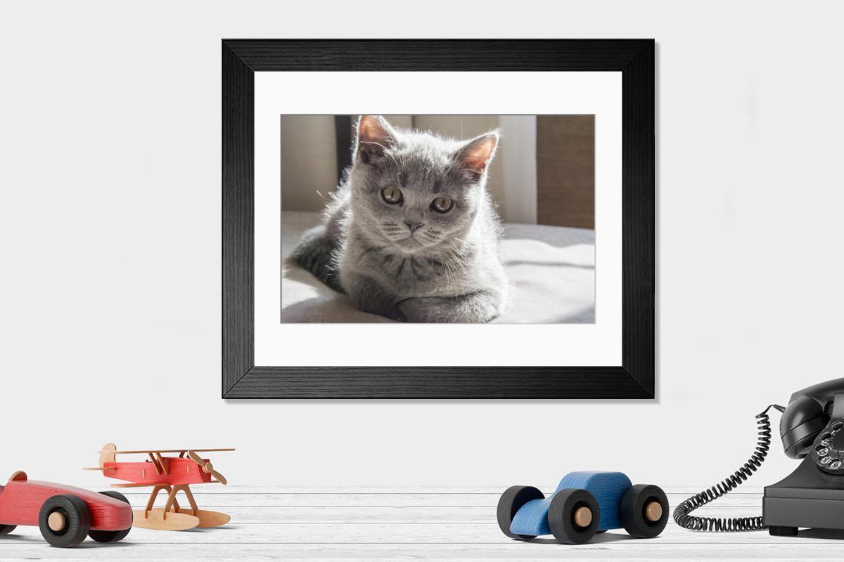 product preview 0