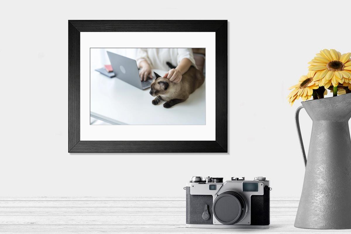 product preview 0