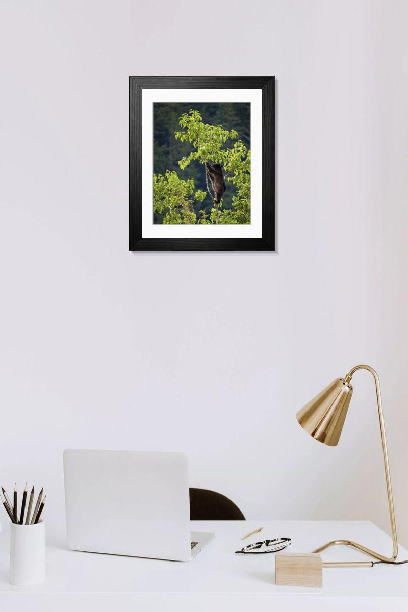 product preview 0