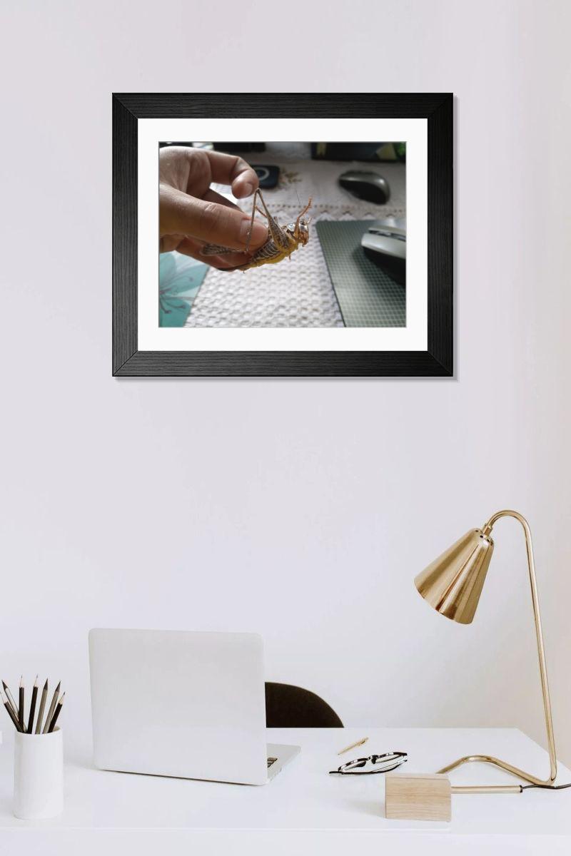 product preview 0
