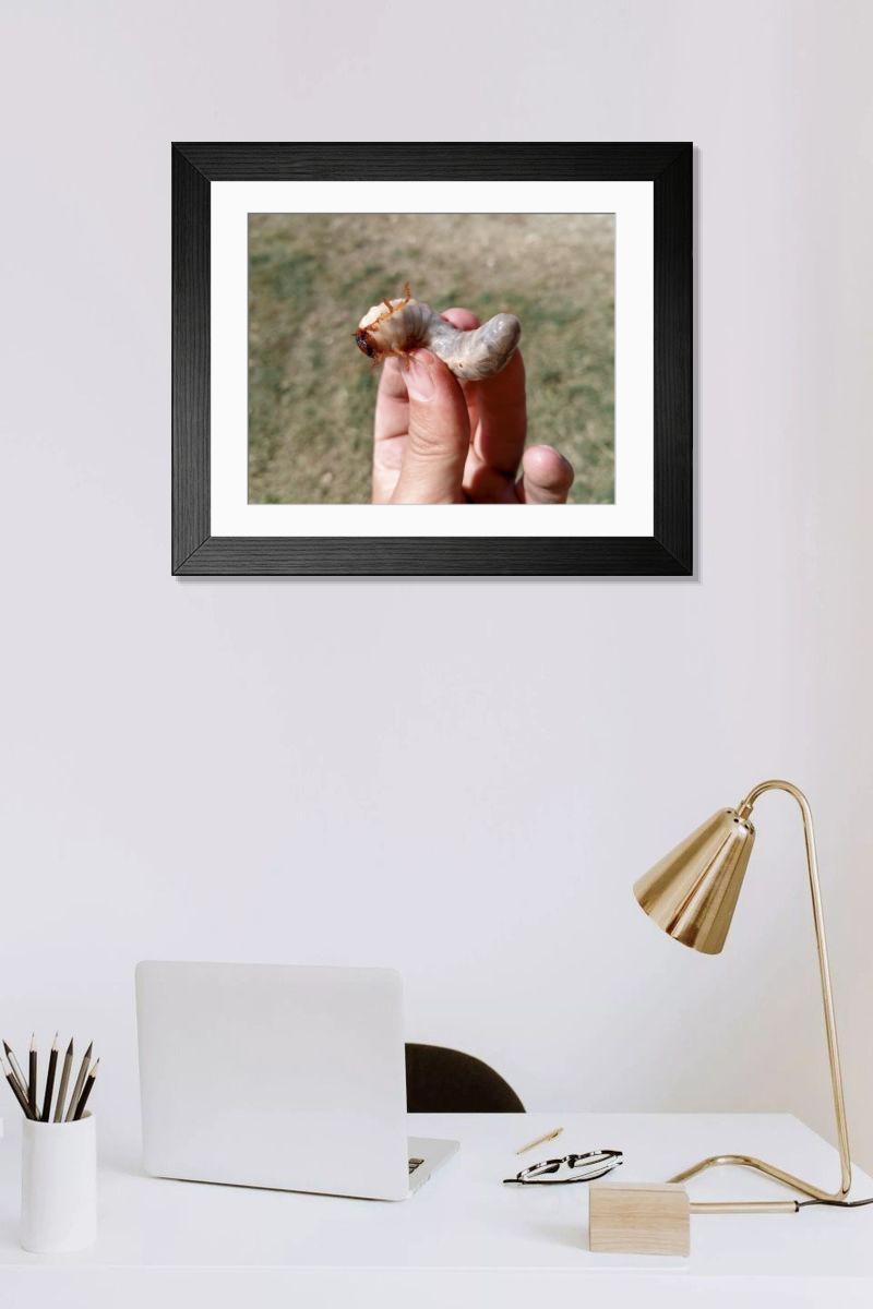 product preview 0