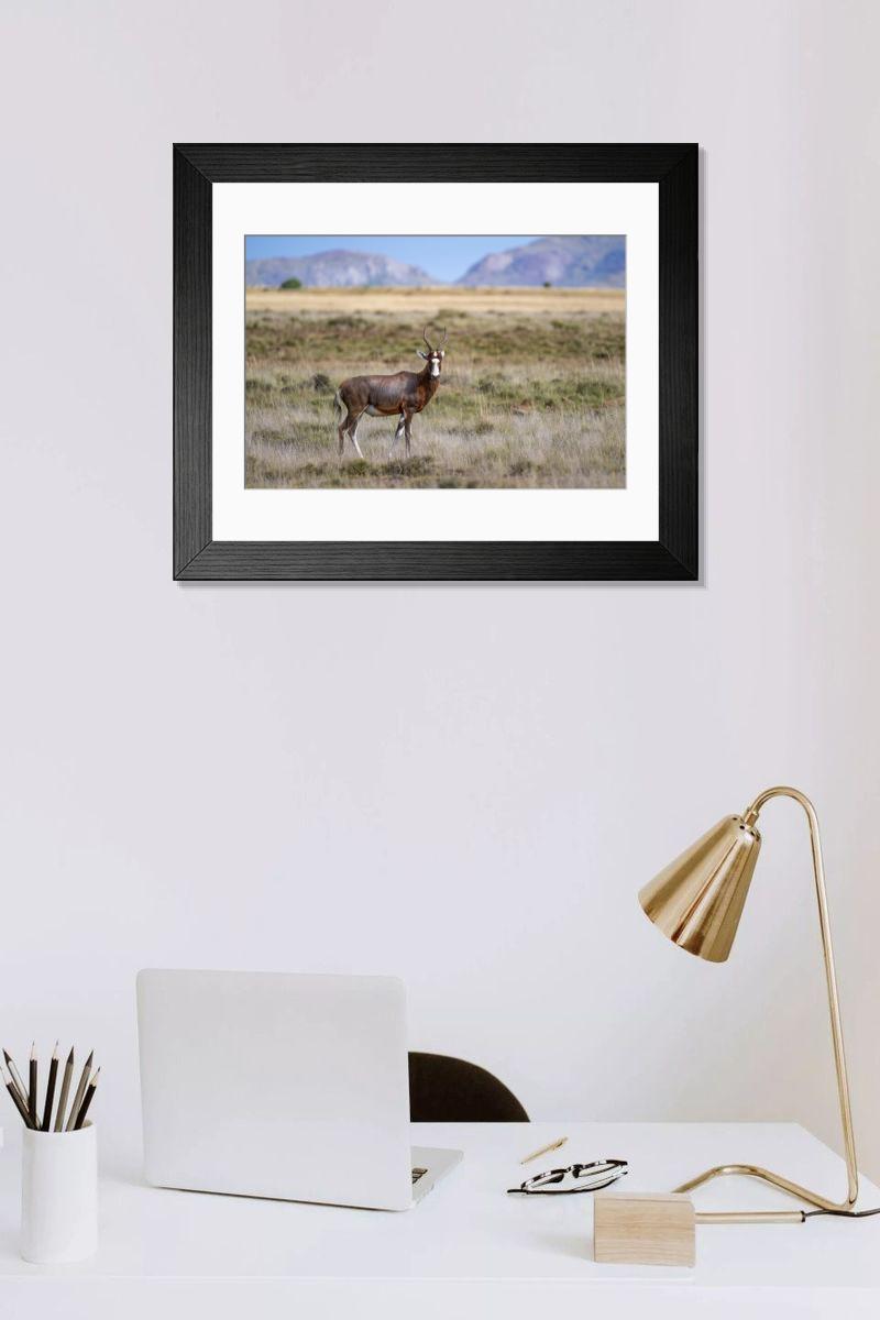 Shown hanging in a room: Modern 14"x12" (36x31cm)