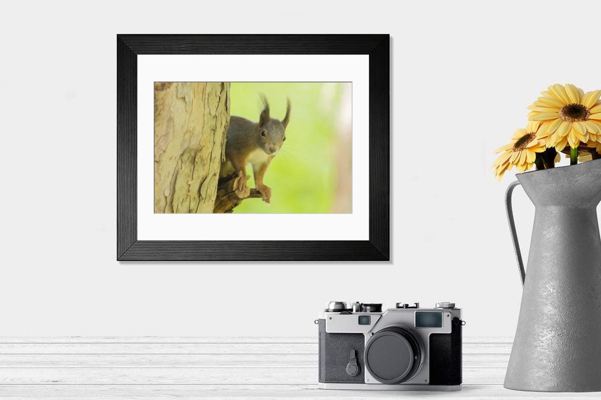 product preview 0