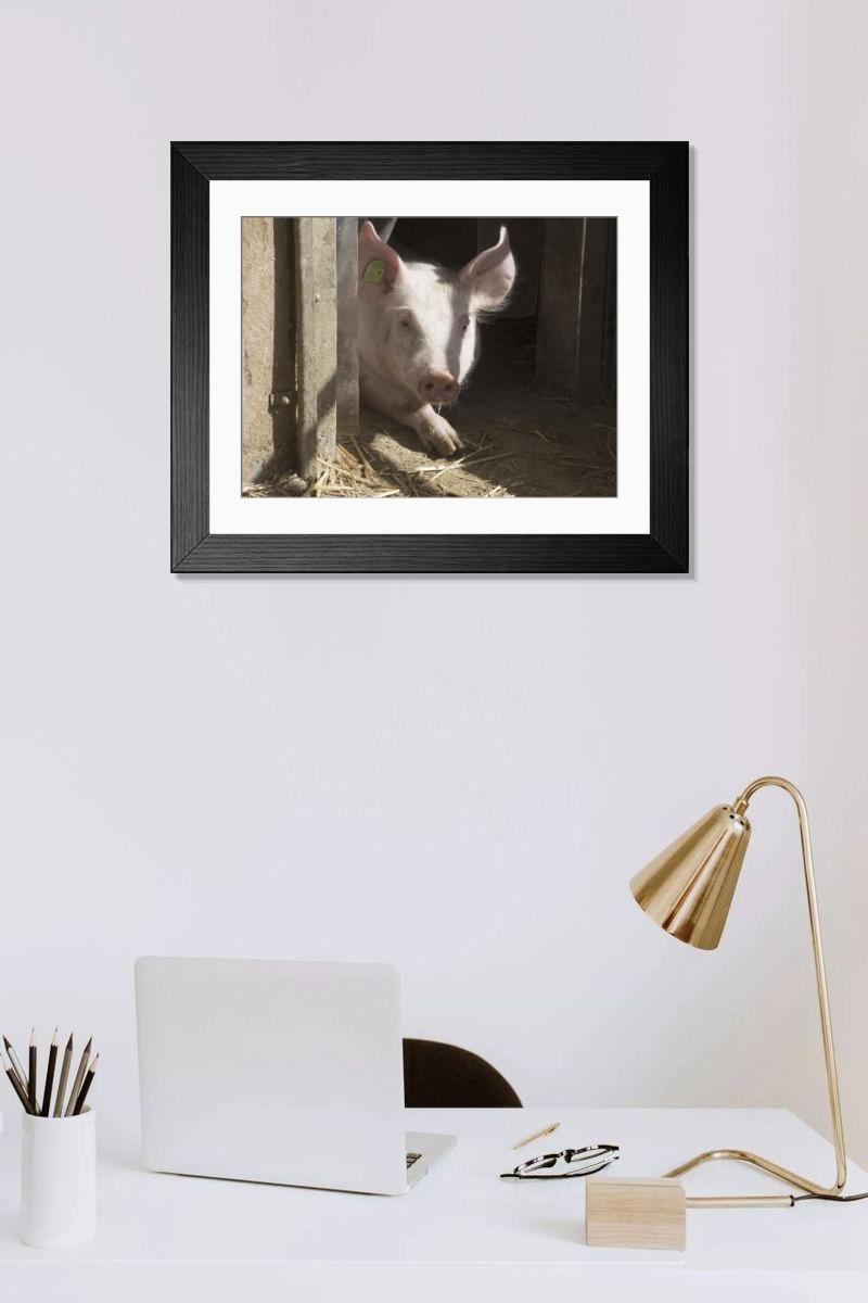 Shown hanging in a room: Modern 14"x12" (36x31cm)