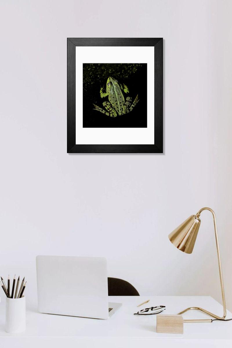 product preview 0