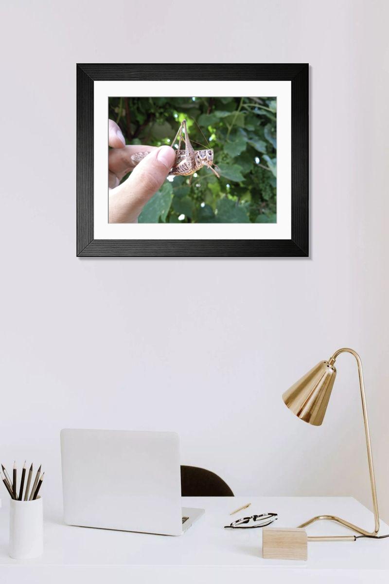 product preview 0