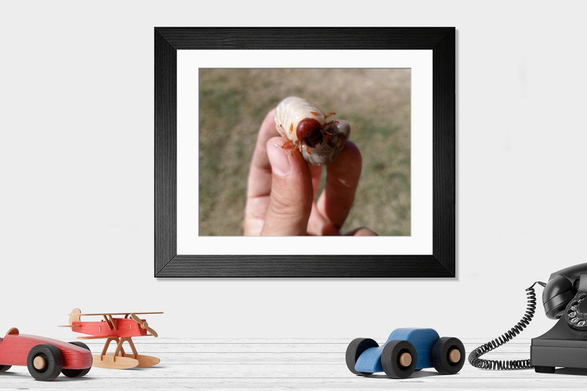 product preview 0