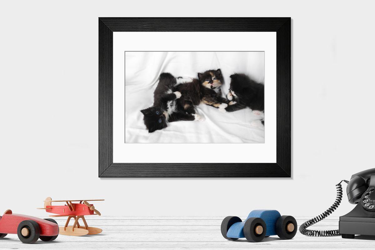 product preview 0