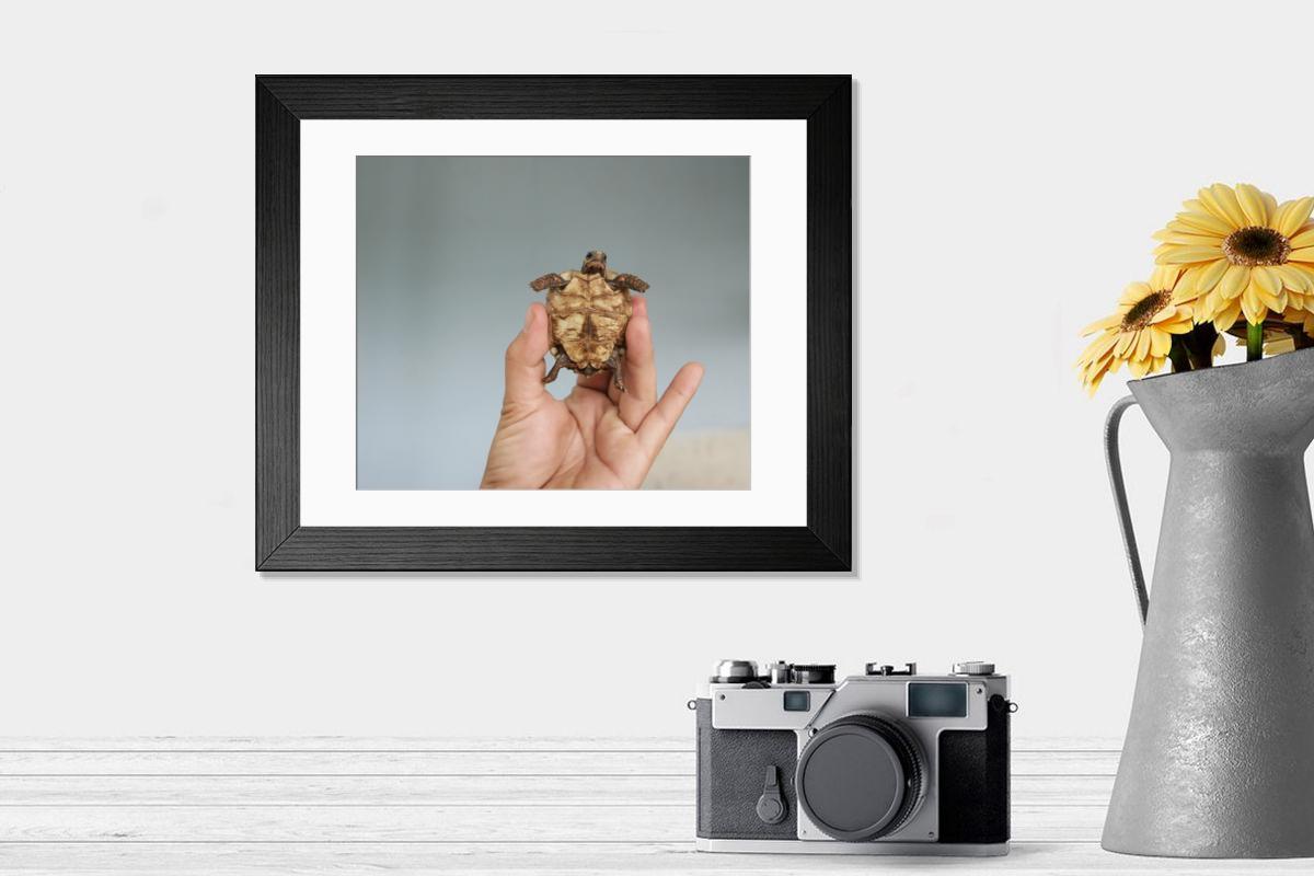 product preview 0