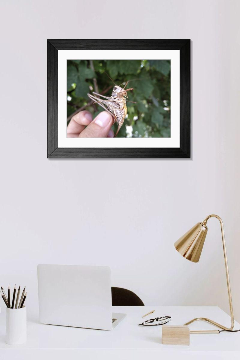 product preview 0