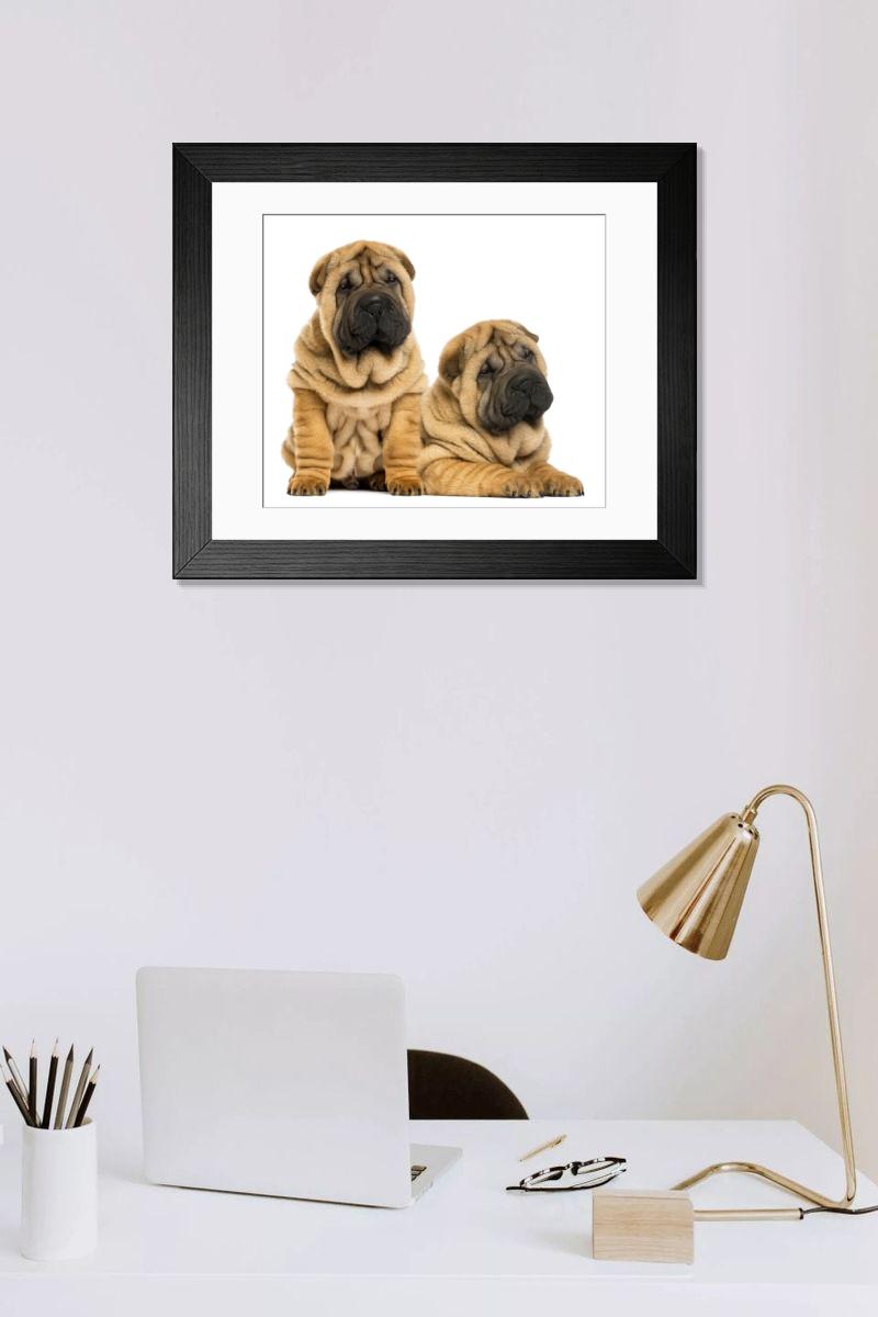 product preview 0