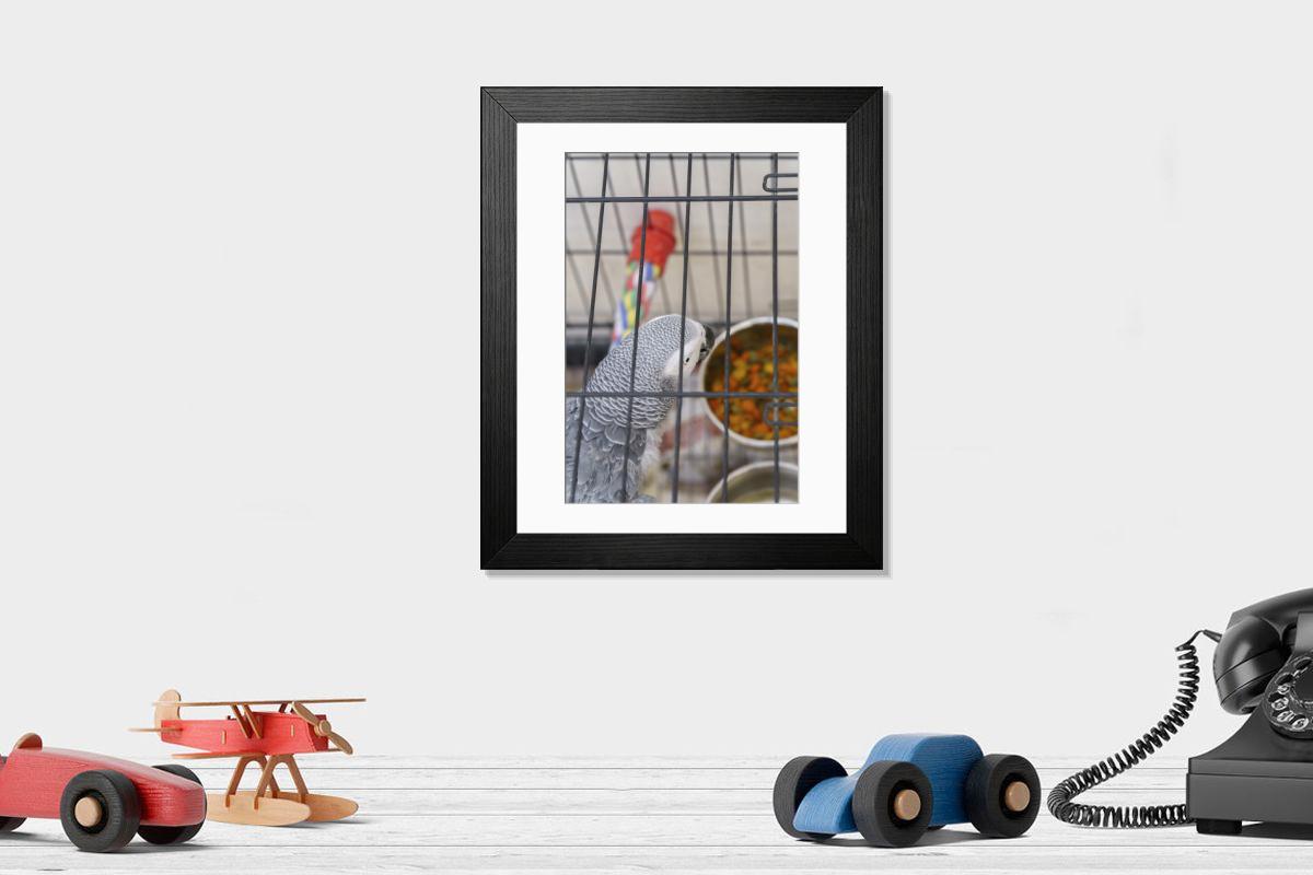 product preview 0