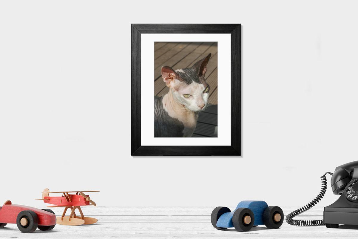 product preview 0