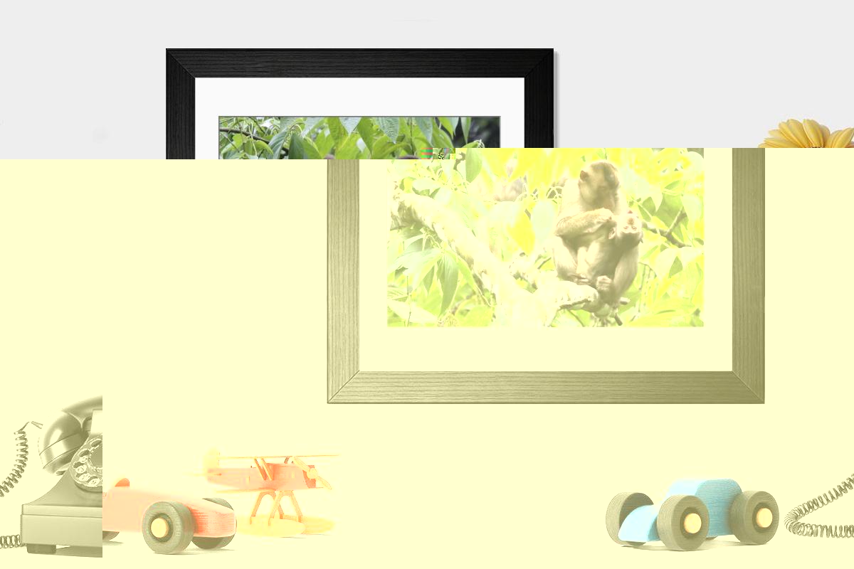 product preview 0