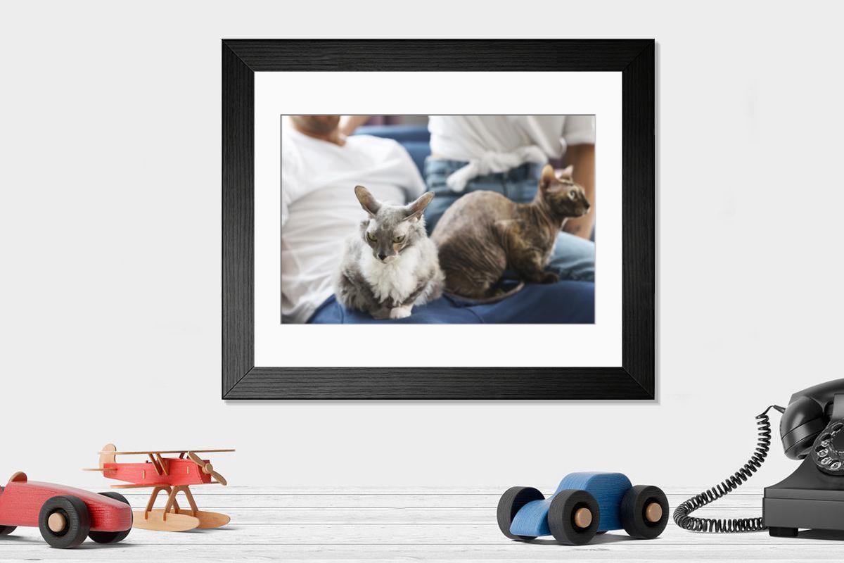 product preview 0