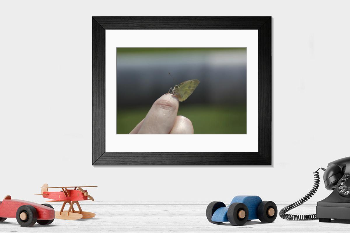 product preview 0