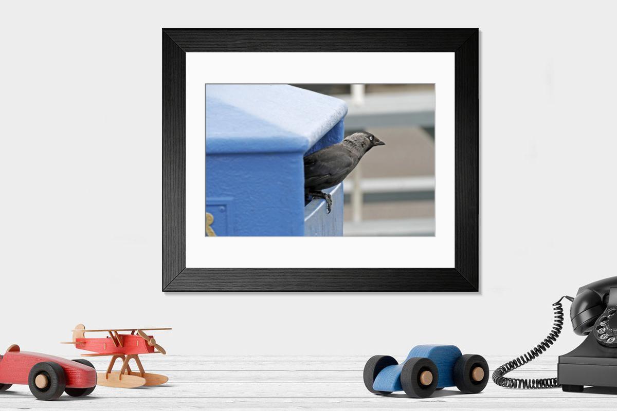 product preview 0