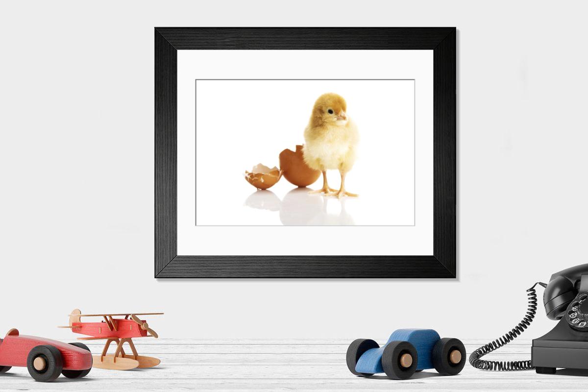 product preview 0