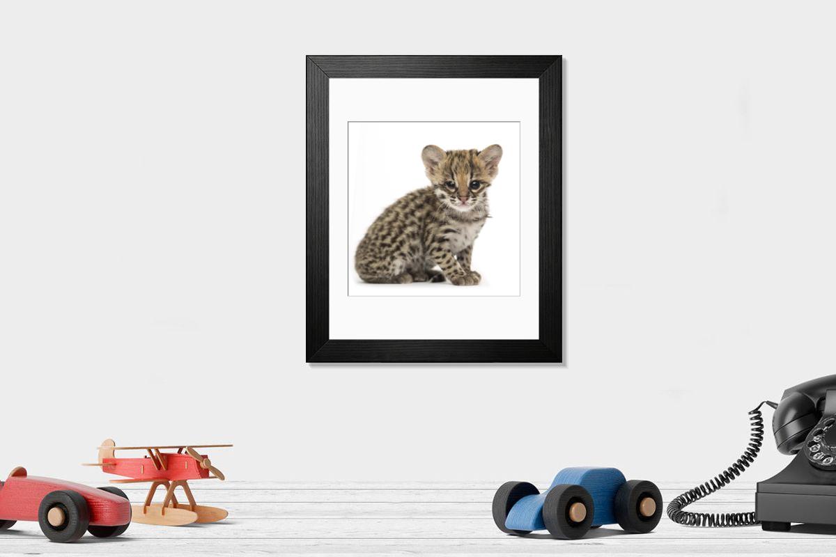product preview 0