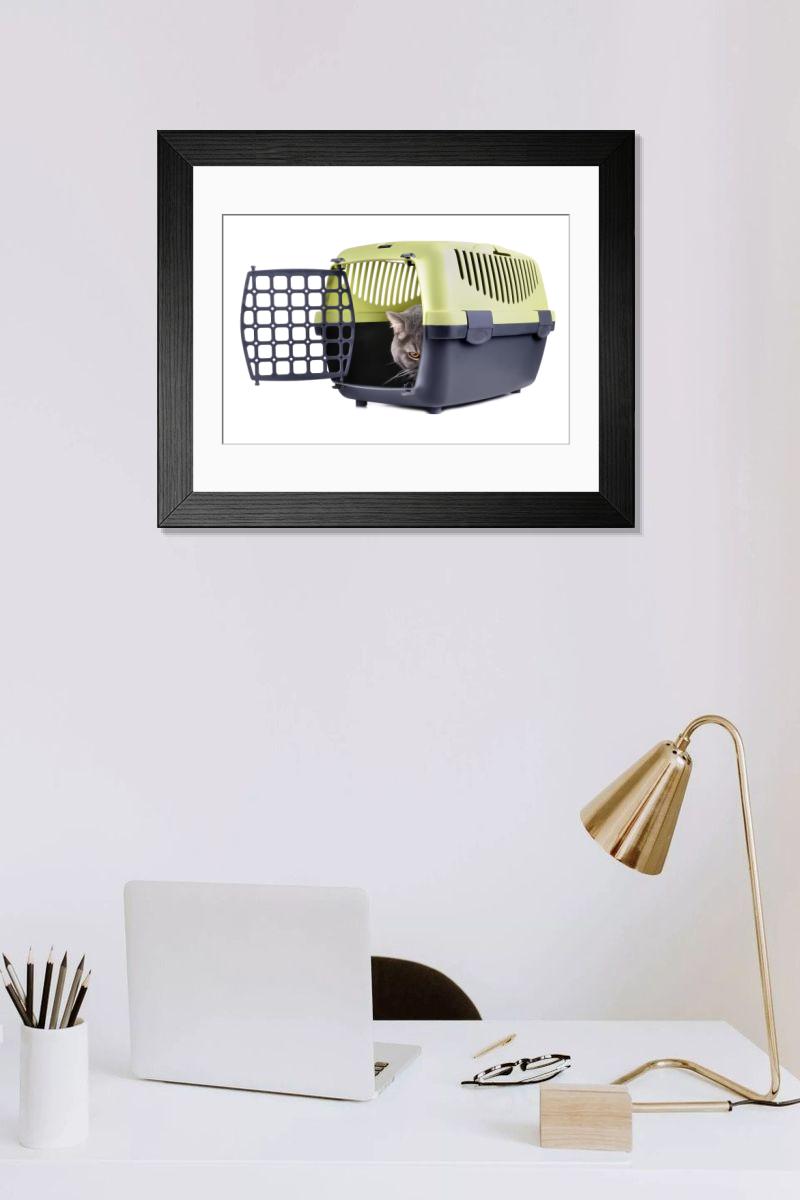 product preview 0
