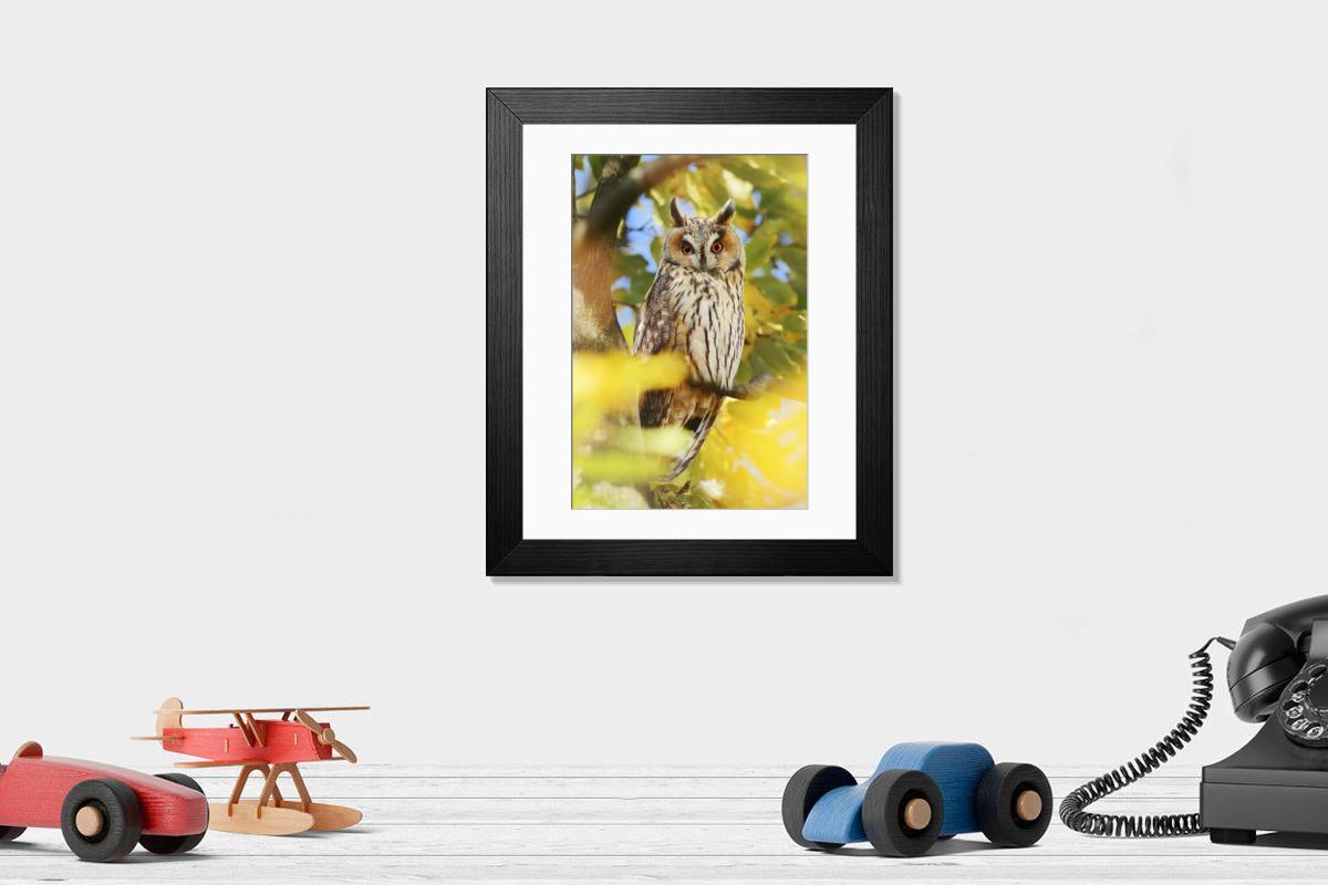 product preview 0