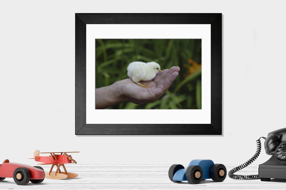 product preview 0