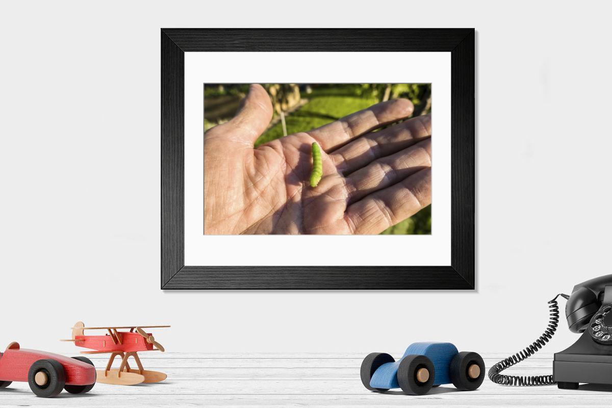 product preview 0