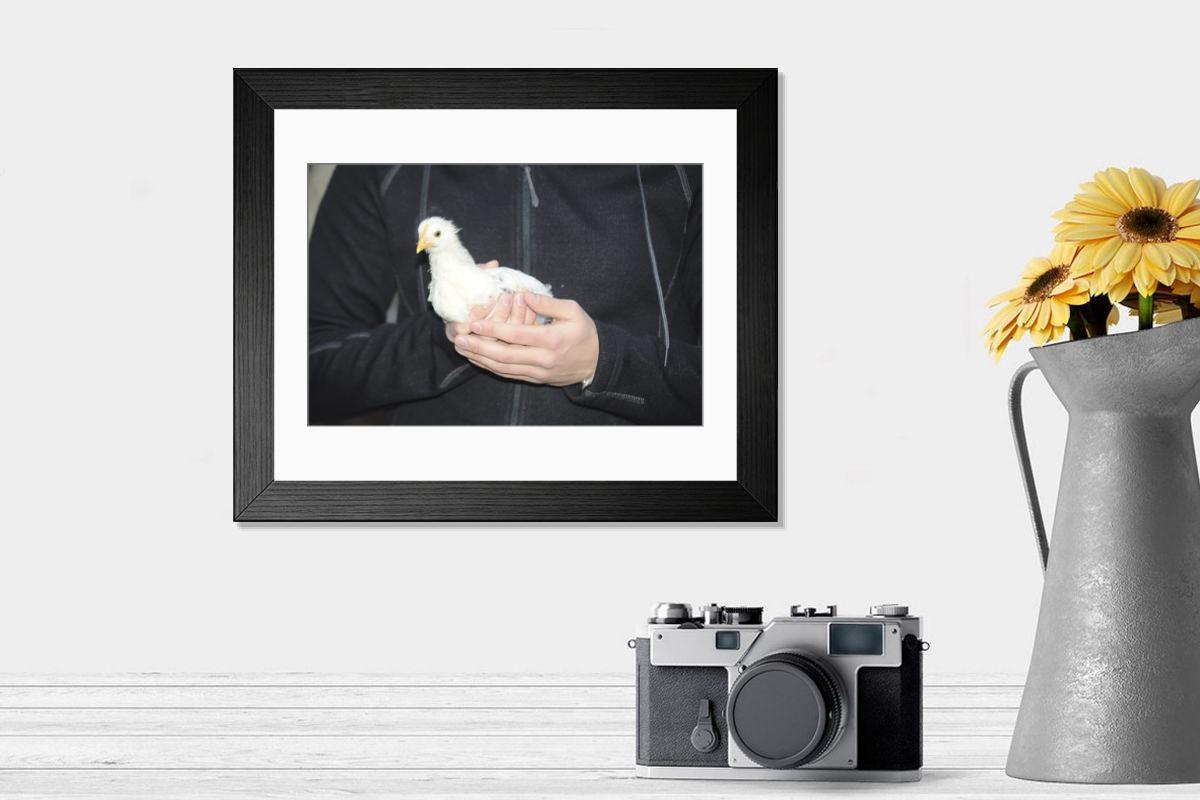 product preview 0