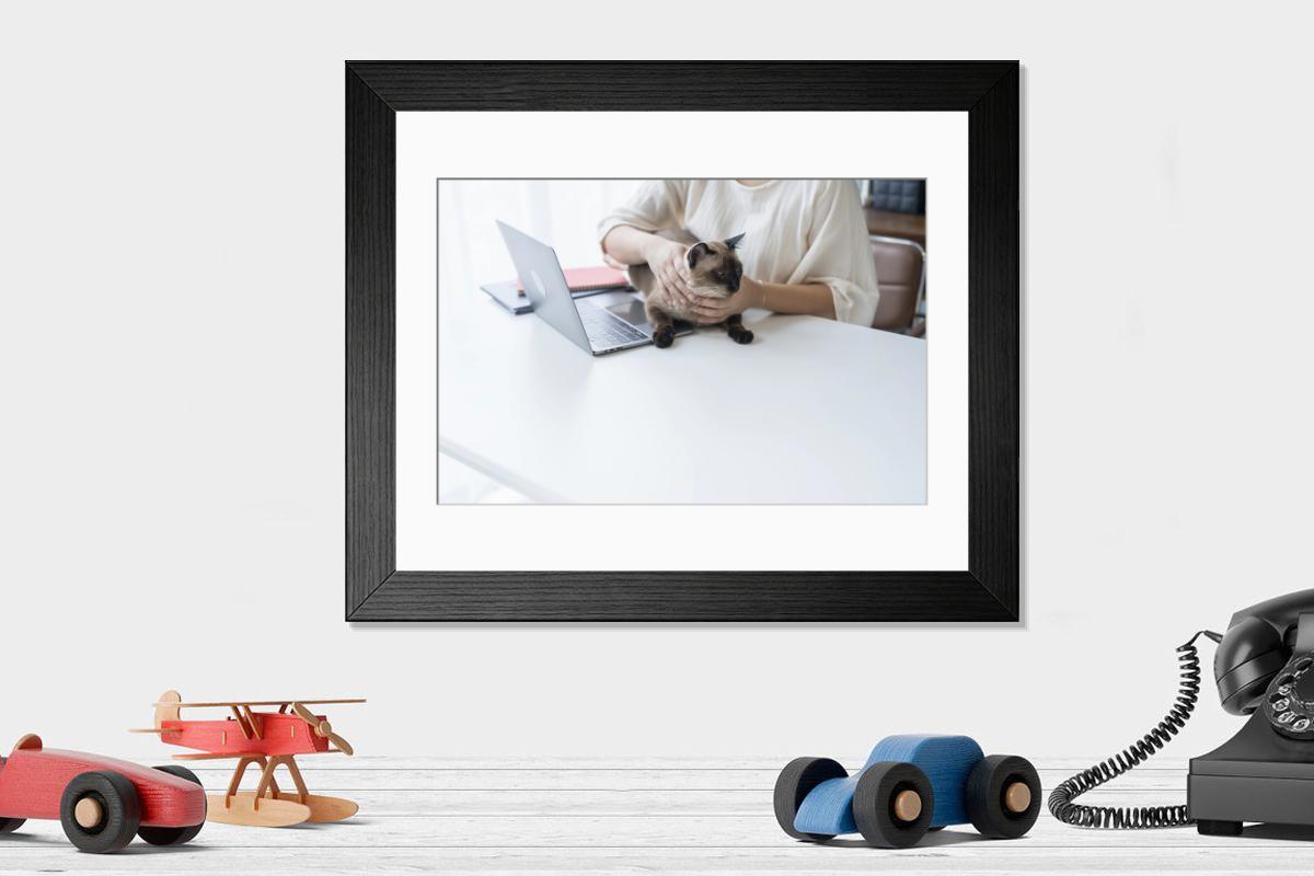product preview 0