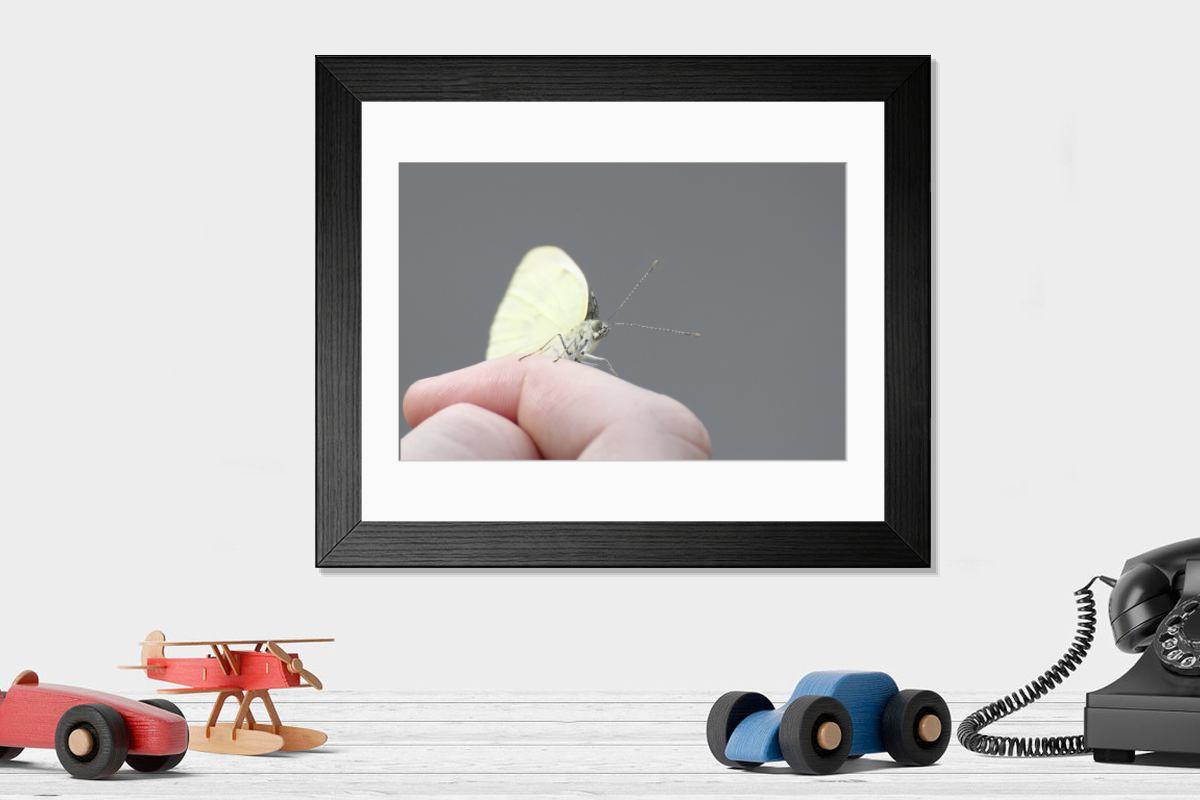 product preview 0