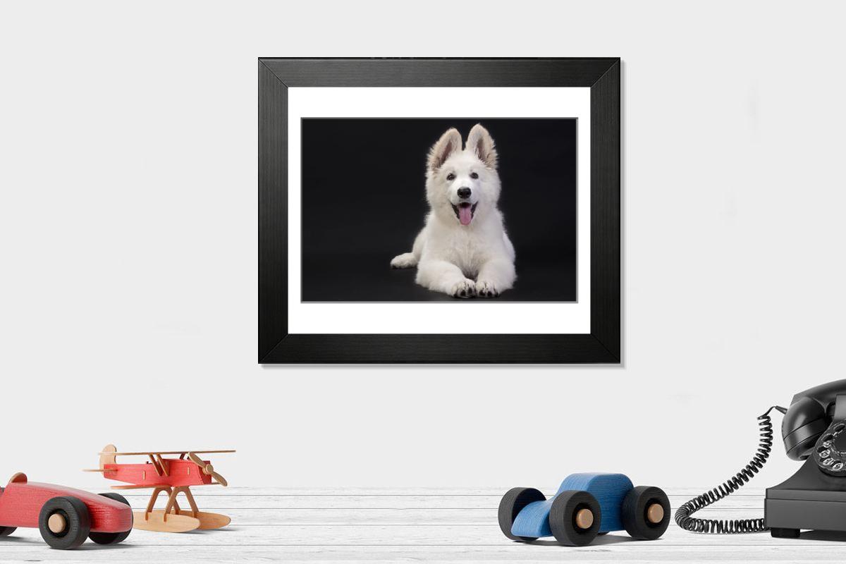 product preview 0