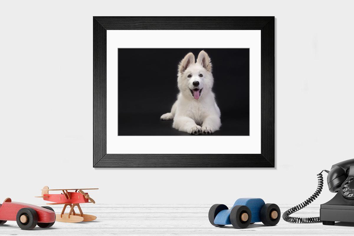 product preview 0
