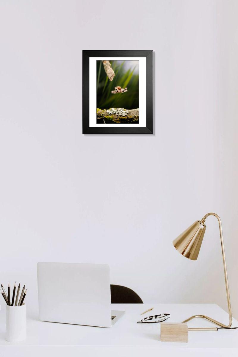 product preview 0