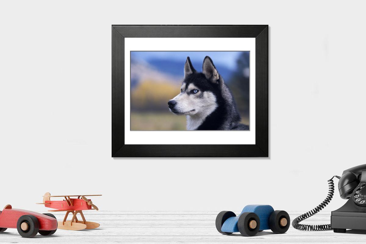 product preview 0