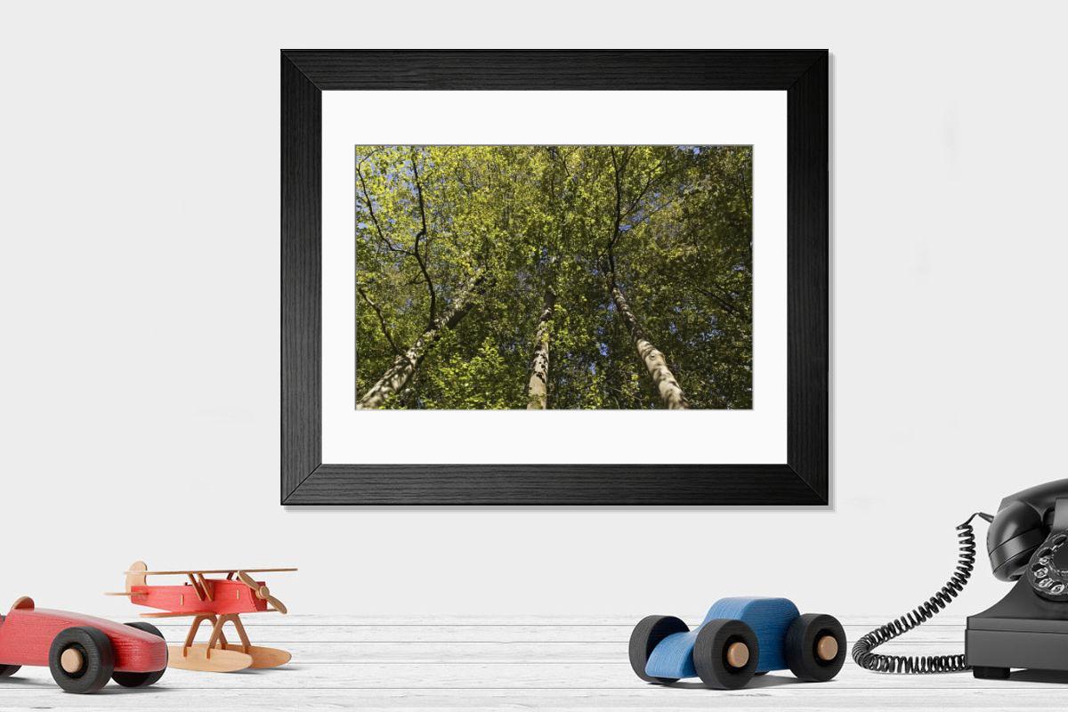 Shown hanging in a room: Modern 14"x12" (36x31cm)
