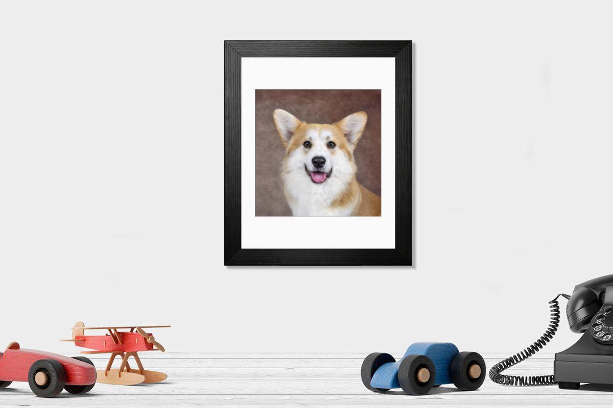 product preview 0