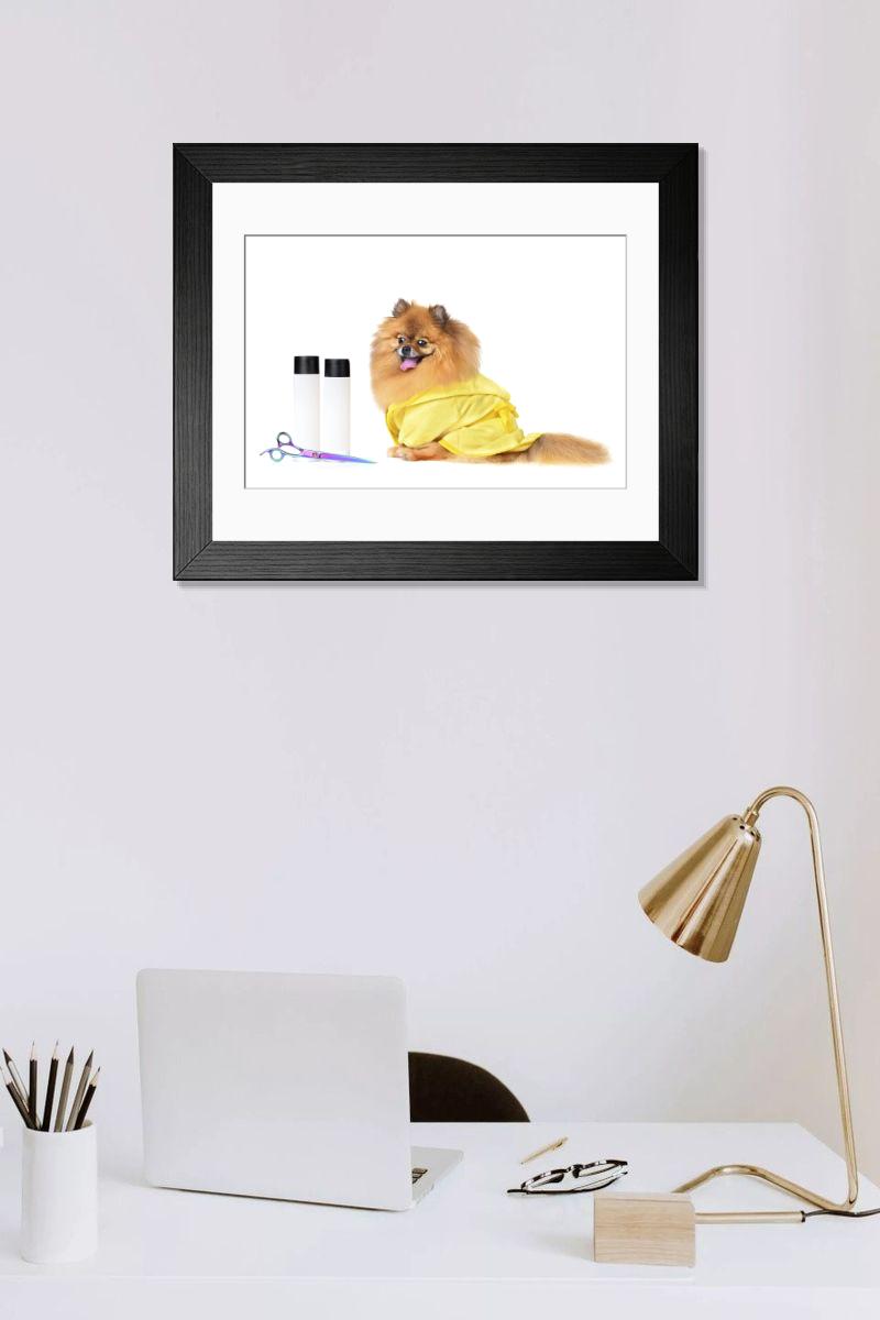 product preview 0