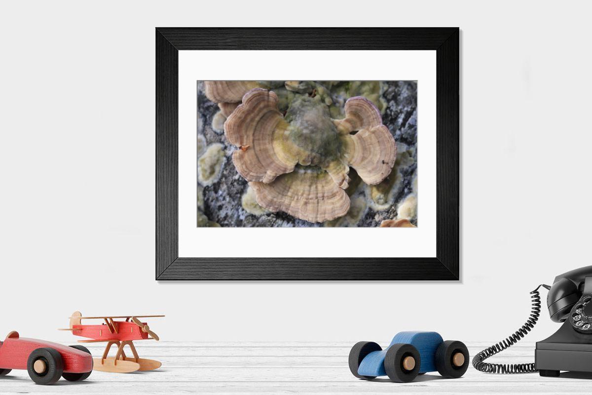 Shown hanging in a room: Modern 14"x12" (36x31cm)