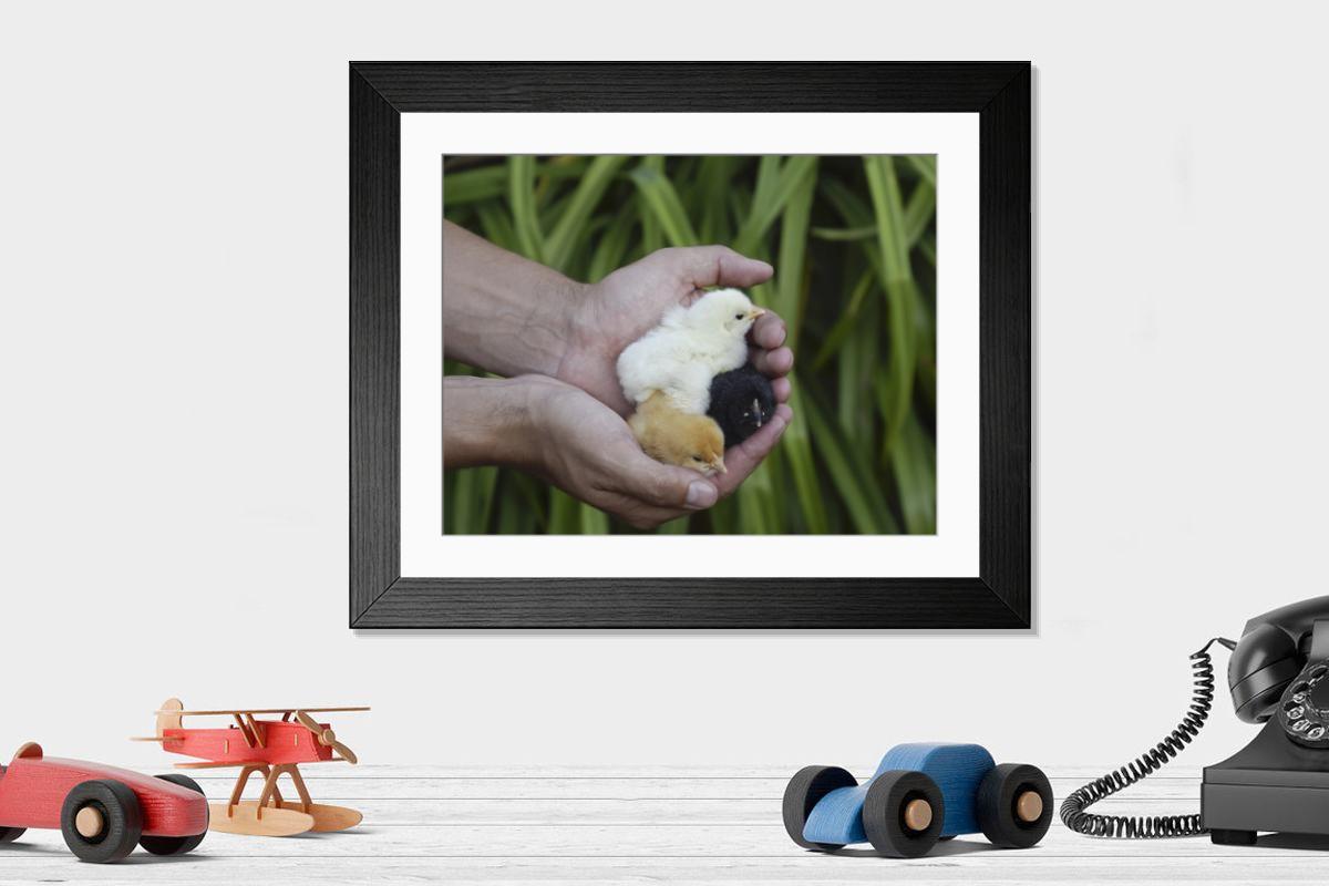 product preview 0
