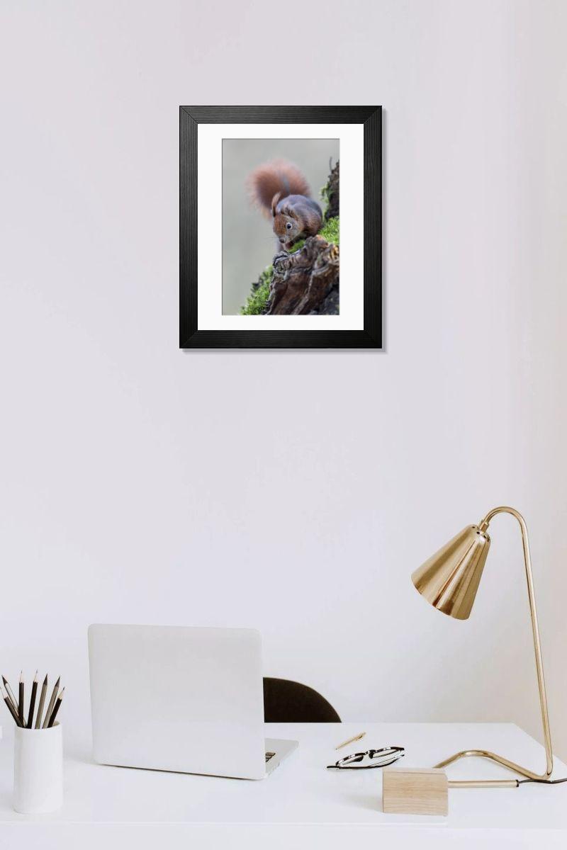 product preview 0