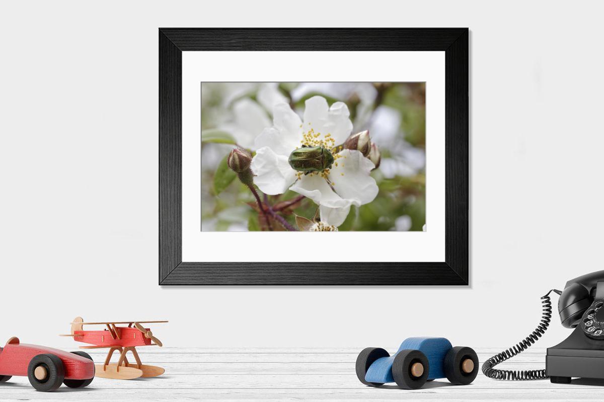 product preview 0