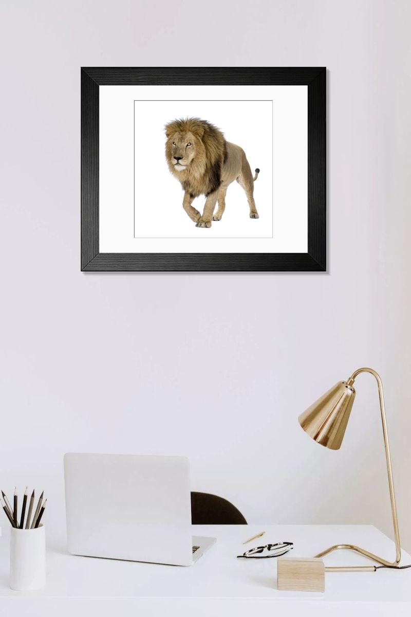 product preview 0