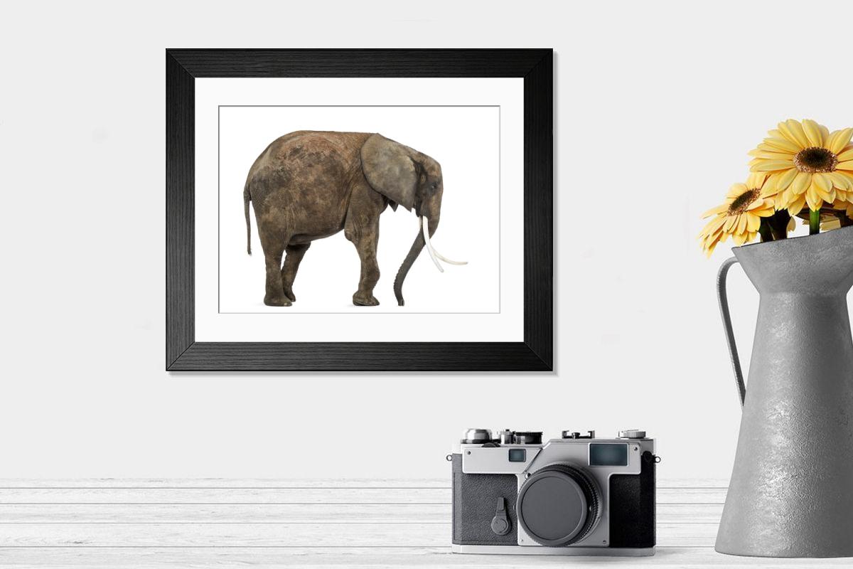 product preview 0
