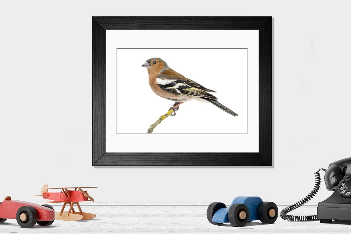 product preview 0