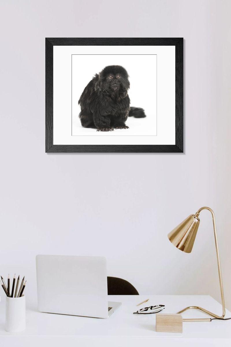 Shown hanging in a room: Modern 14"x12" (36x31cm)