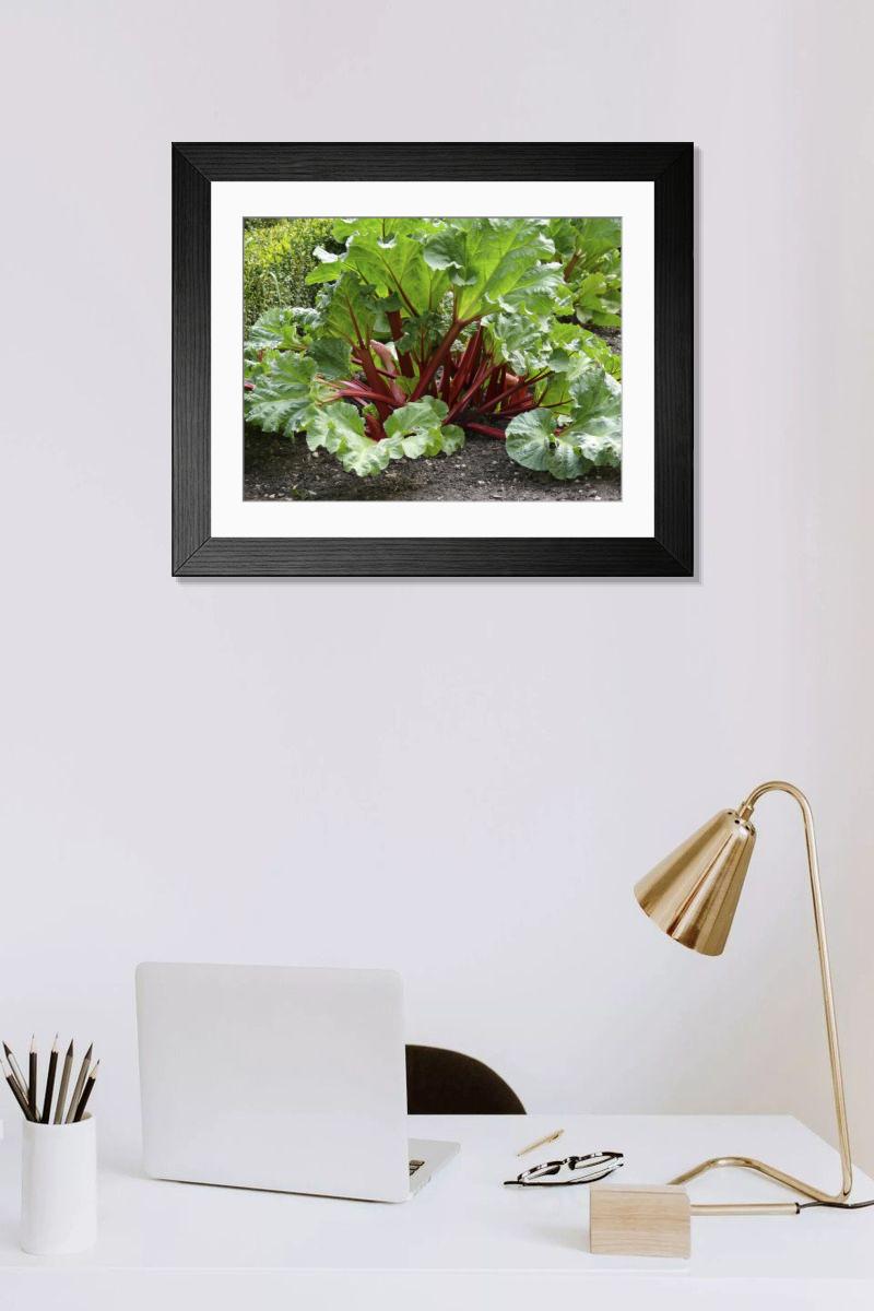 Shown hanging in a room: Modern 14"x12" (36x31cm)